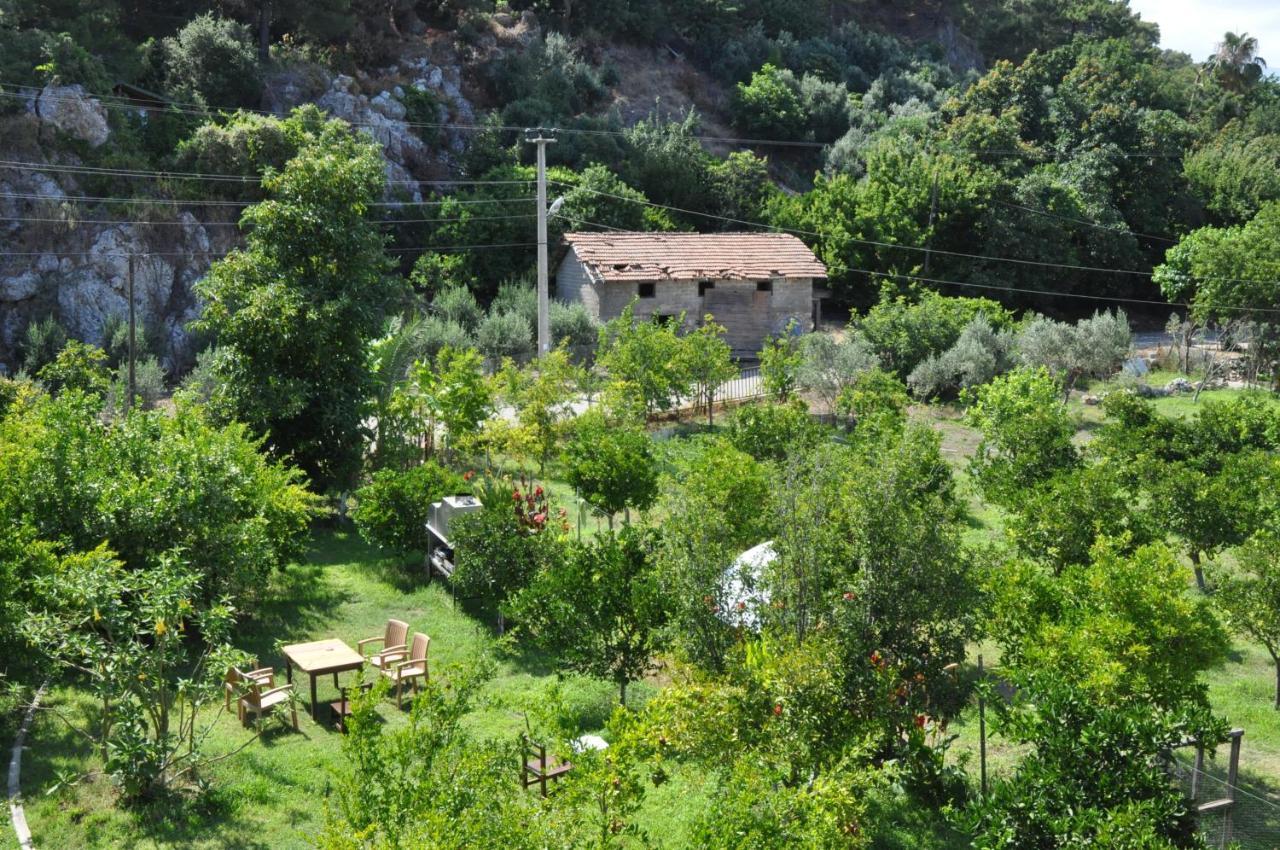 San Simon Hotel Чирали Экстерьер фото